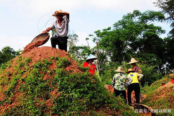 衡陽(yáng)縣安福陵園有限責(zé)任公司,衡陽(yáng)安福陵園,衡陽(yáng)園林式墓園,仙桃墓,涼亭墓